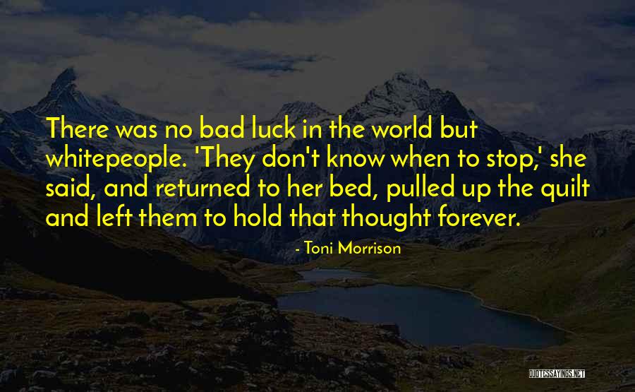 I Thought You Said Forever Quotes By Toni Morrison I Thought You Said Forever Quotes By Toni Morrison