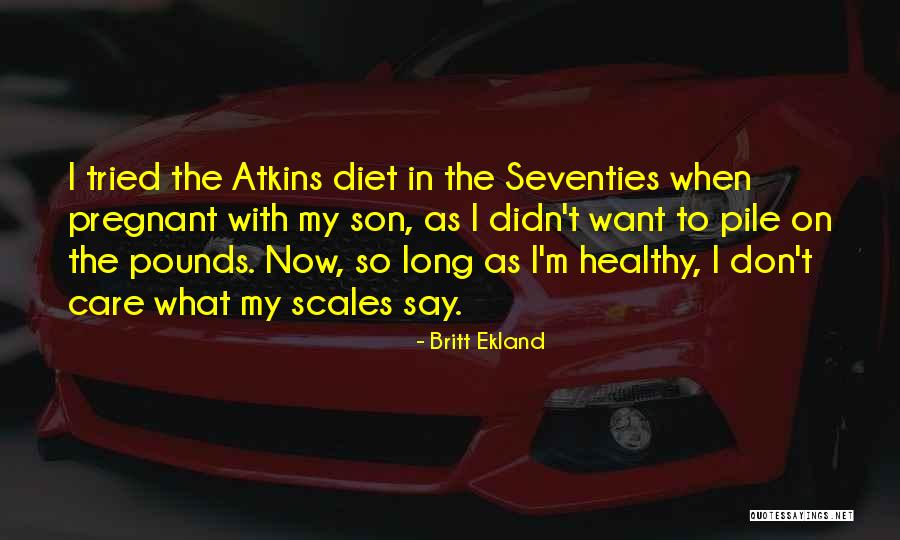 I Tried But You Didn't Care Quotes By Britt Ekland I Tried But You Didn't Care Quotes By Britt Ekland