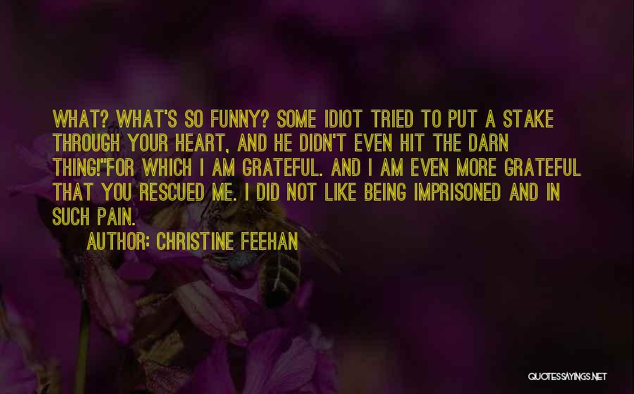 I Tried You Didn't Quotes By Christine Feehan