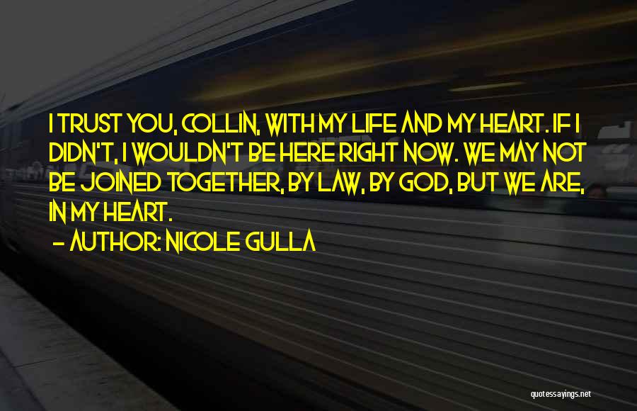 I Trust You But Quotes By Nicole Gulla