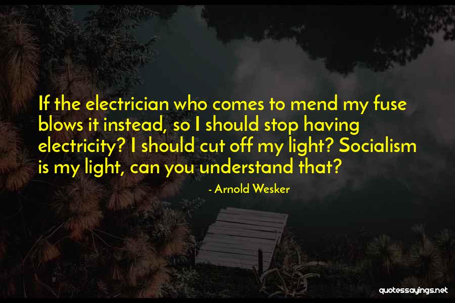 I Understand That Quotes By Arnold Wesker I Understand That Quotes By Arnold Wesker