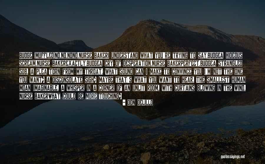 I Understand That Quotes By Don DeLillo I Understand That Quotes By Don DeLillo