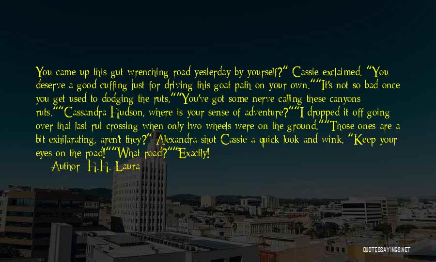 I Used To Look Up To You Quotes By H.H. Laura