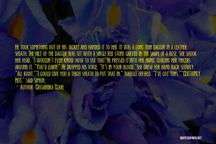 I Ve Got Your Back Quotes By Cassandra Clare