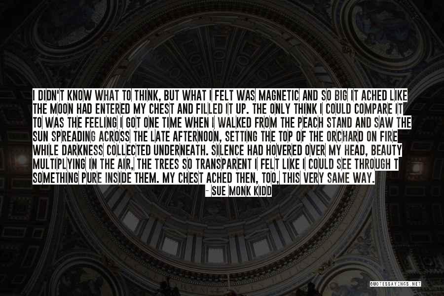I Walked On The Moon Quotes By Sue Monk Kidd I Walked On The Moon Quotes By Sue Monk Kidd