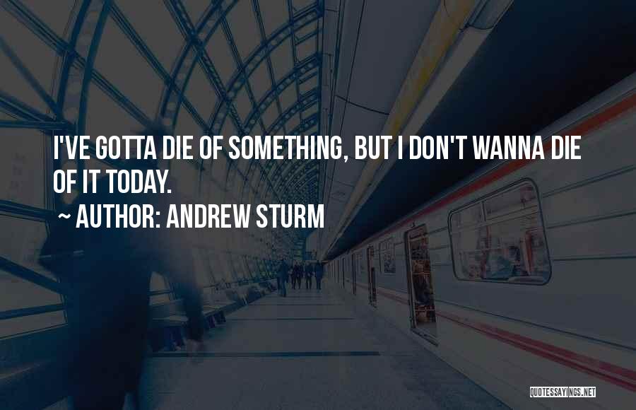 I Wanna Die Soon Quotes By Andrew Sturm
