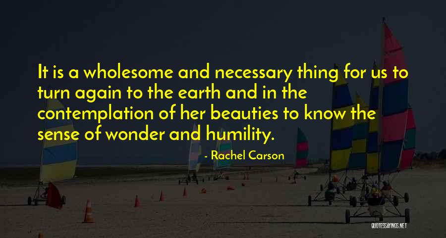 I Wanna Hold You Forever Quotes By Rachel Carson I Wanna Hold You Forever Quotes By Rachel Carson
