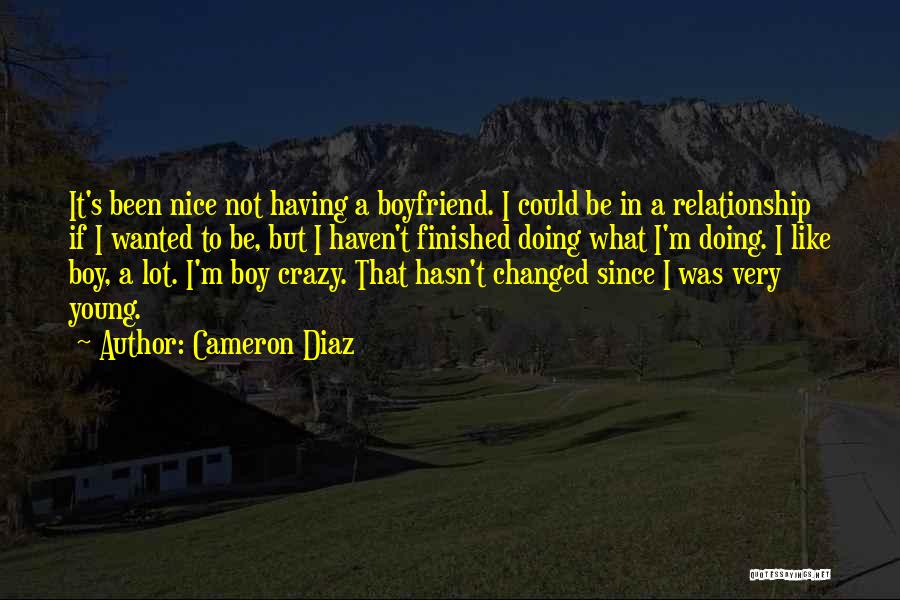 I Want A Nice Boyfriend Quotes By Cameron Diaz