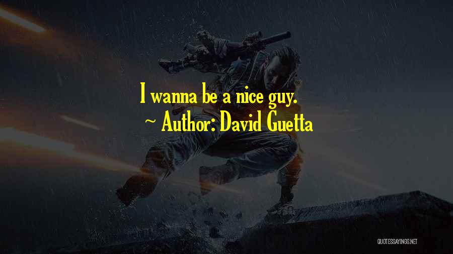 I Want A Nice Guy Quotes By David Guetta