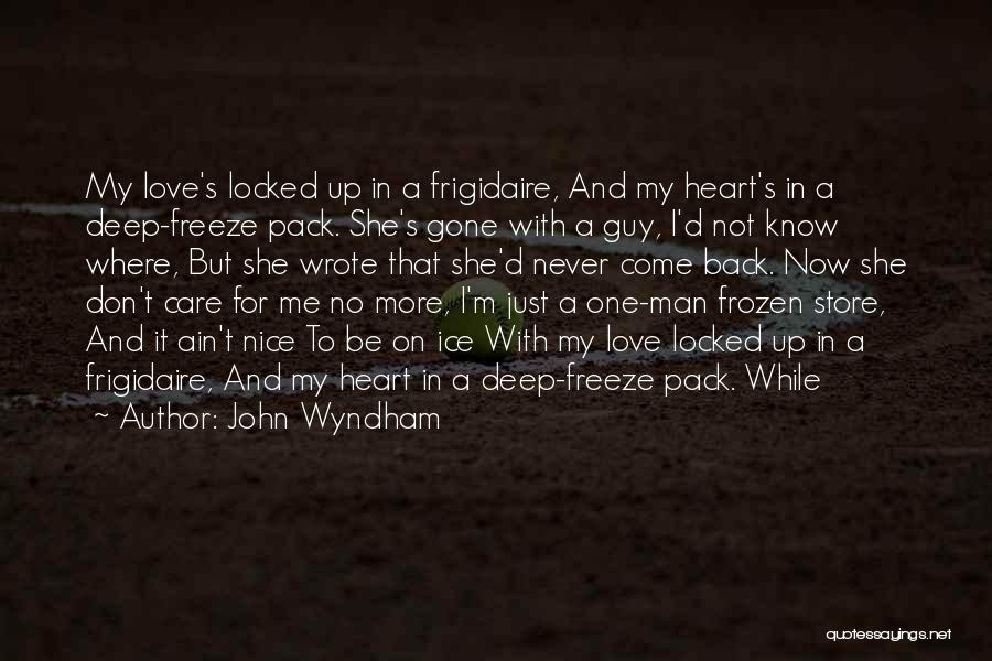 I Want A Nice Guy Quotes By John Wyndham