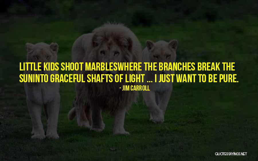 I Want Break Quotes By Jim Carroll I Want Break Quotes By Jim Carroll