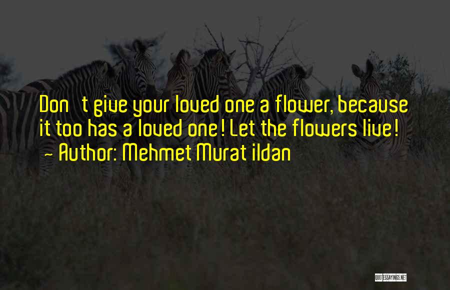 I Want Flowers Just Because Quotes By Mehmet Murat Ildan