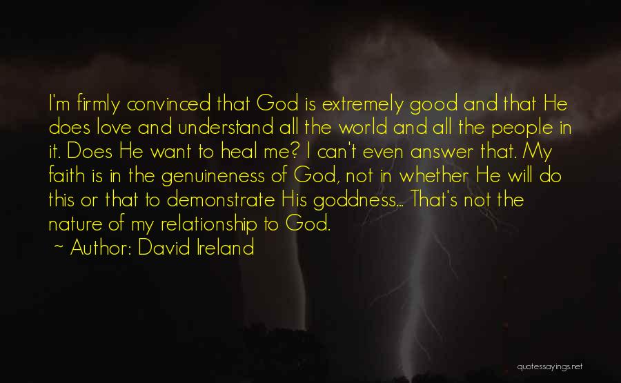 I Want Good Love Quotes By David Ireland