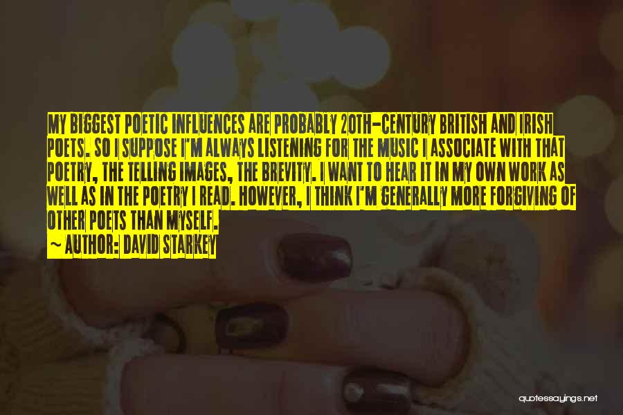 I Want It To Work Quotes By David Starkey
