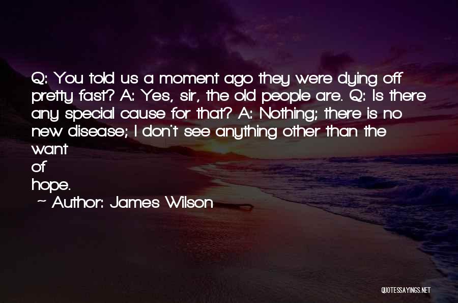 I Want The Old Us Quotes By James Wilson