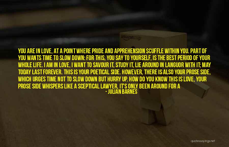 I Want This Love To Last Forever Quotes By Julian Barnes I Want This Love To Last Forever Quotes By Julian Barnes