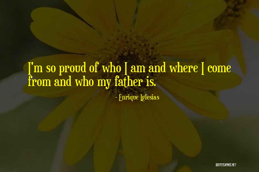 I Want To Be Proud Of Myself Quotes By Enrique Iglesias