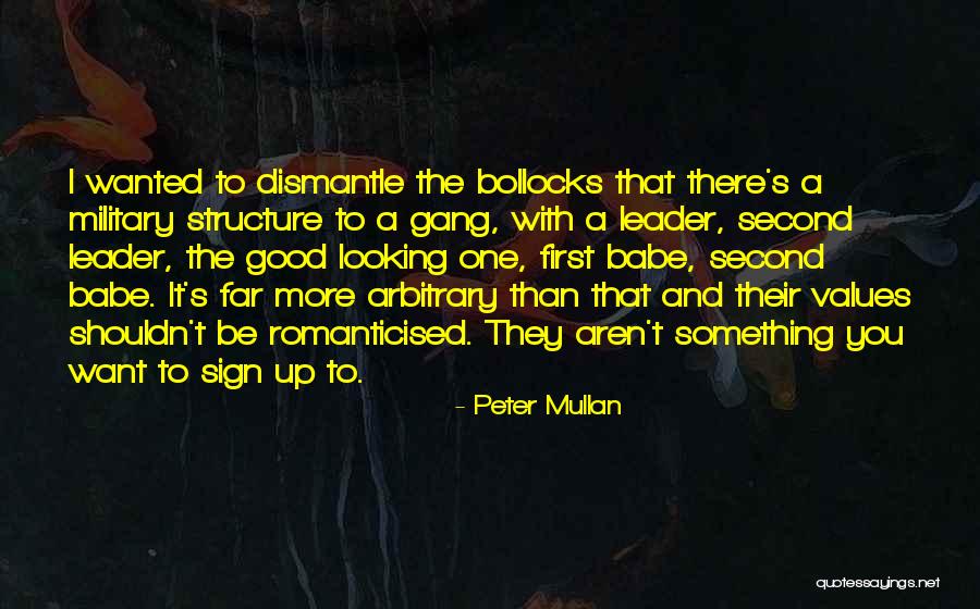 I Want To Be Something More Quotes By Peter Mullan