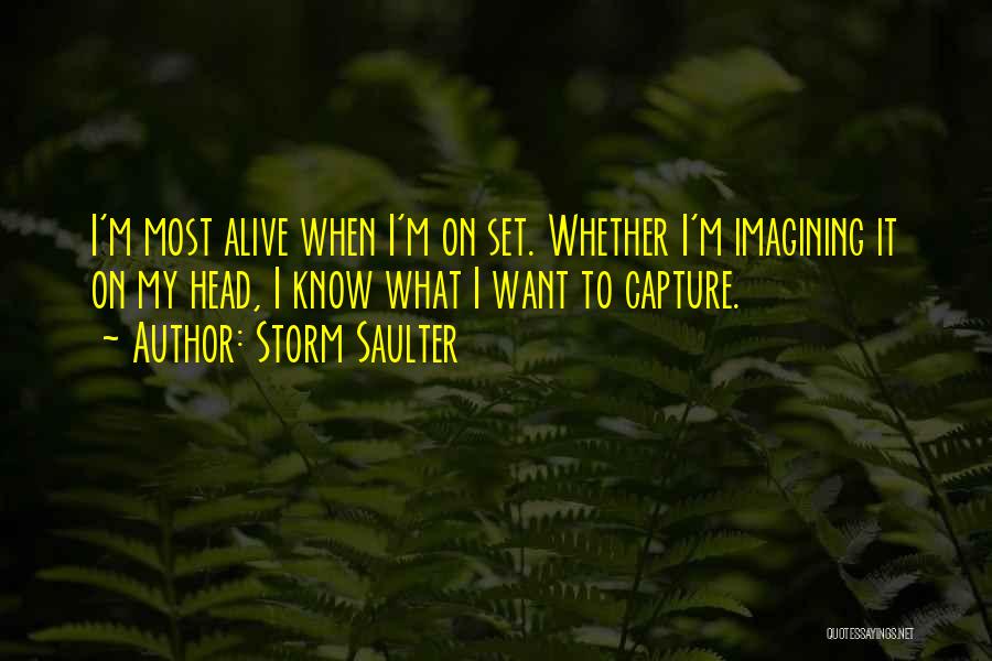 I Want To Capture Quotes By Storm Saulter