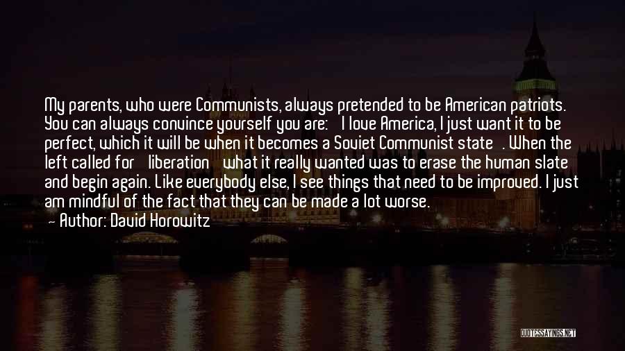 I Want To Erase You Quotes By David Horowitz