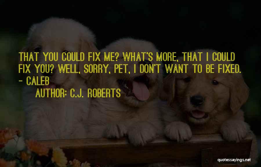 I Want To Fix You Quotes By C.J. Roberts