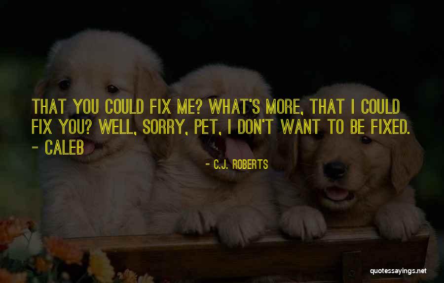 I Want To Fix You Quotes By C.J. Roberts