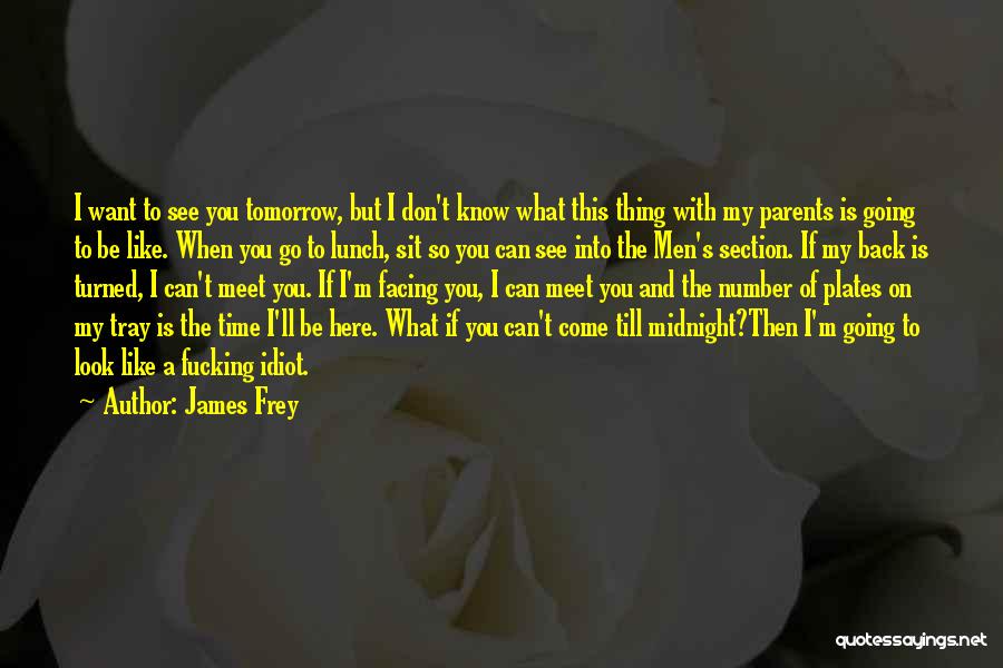 I Want To Go Back Quotes By James Frey