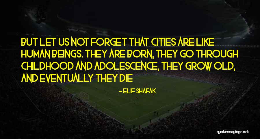 I Want To Grow Old With You Quotes By Elif Shafak I Want To Grow Old With You Quotes By Elif Shafak
