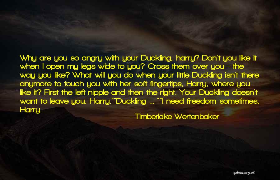 I Want To Leave You Quotes By Timberlake Wertenbaker