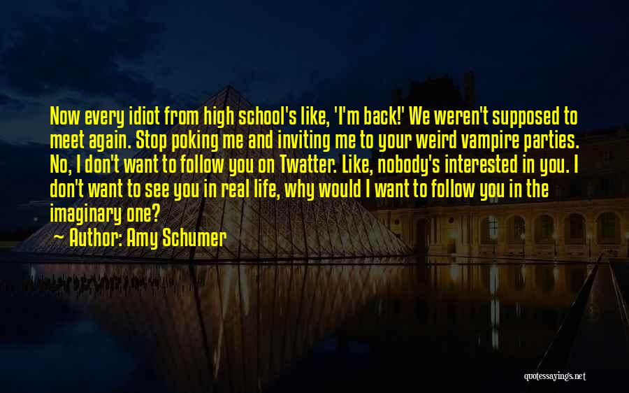 I Want To Meet You Again Quotes By Amy Schumer