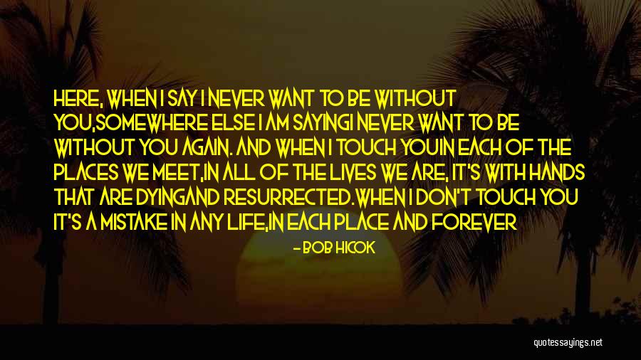 I Want To Meet You Again Quotes By Bob Hicok