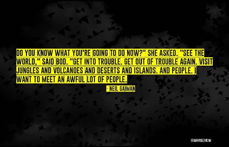 I Want To Meet You Again Quotes By Neil Gaiman I Want To Meet You Again Quotes By Neil Gaiman