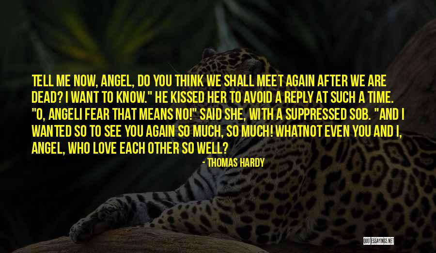 I Want To Meet You Again Quotes By Thomas Hardy