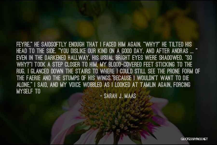 I Want To See You More Than Quotes By Sarah J. Maas I Want To See You More Than Quotes By Sarah J. Maas