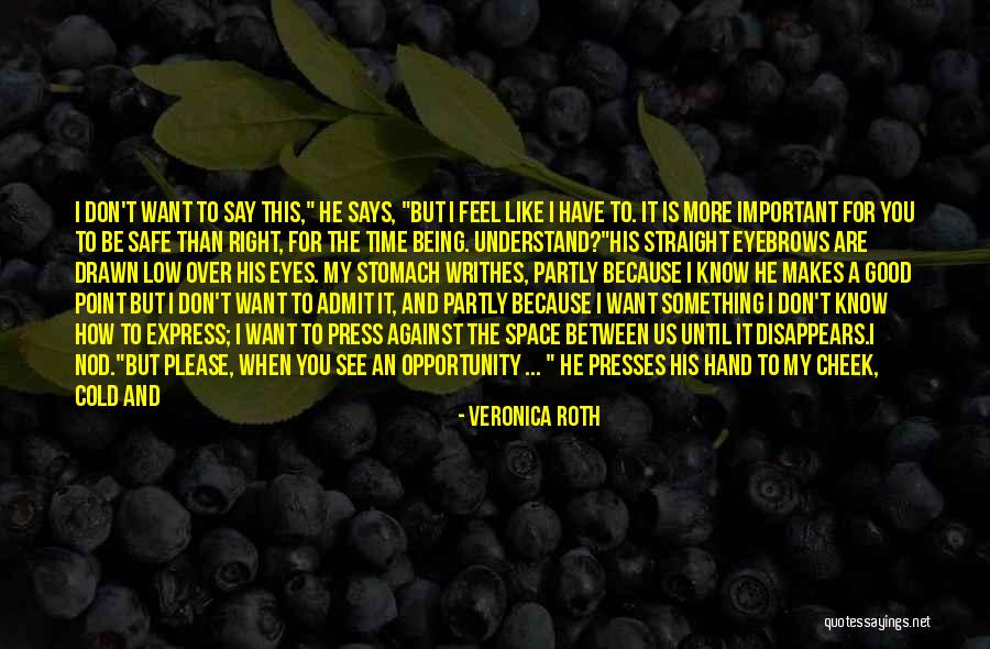 I Want To See You More Than Quotes By Veronica Roth I Want To See You More Than Quotes By Veronica Roth