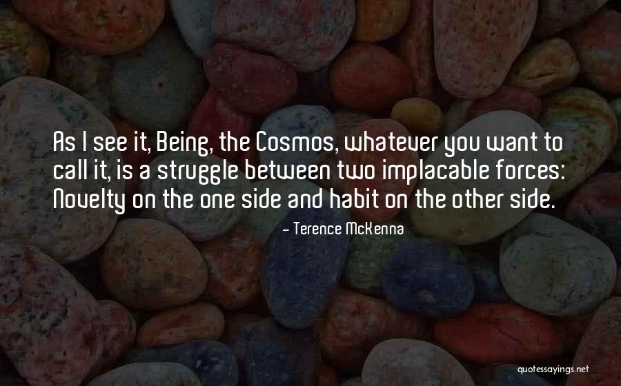 I Want To See You Quotes By Terence McKenna I Want To See You Quotes By Terence McKenna