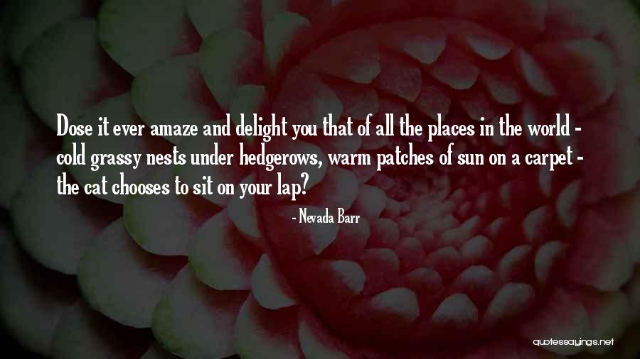 I Want To Sit On Your Lap Quotes By Nevada Barr I Want To Sit On Your Lap Quotes By Nevada Barr