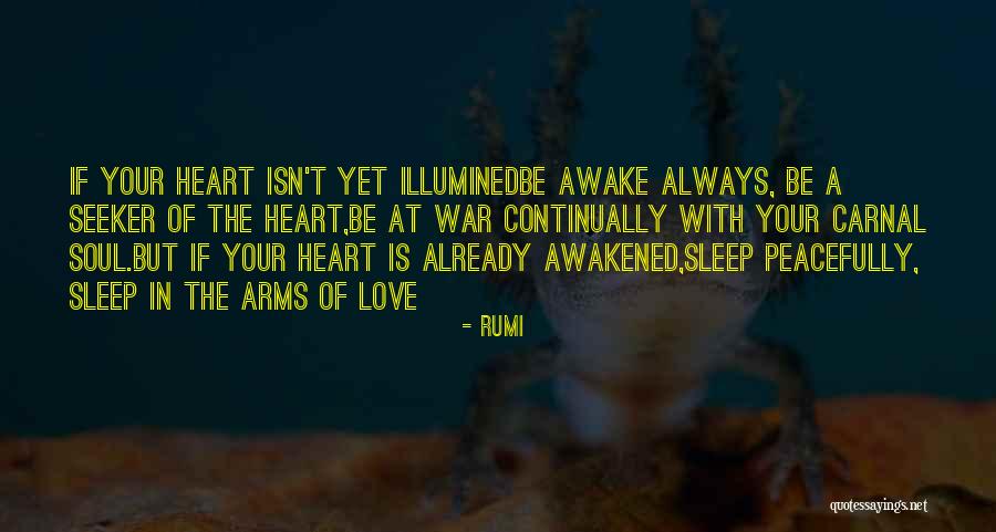 I Want To Sleep Peacefully Quotes By Rumi