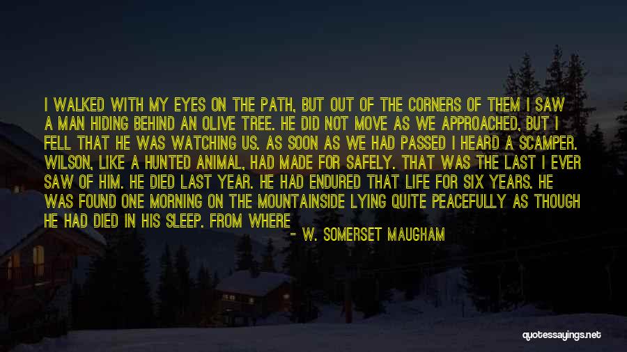 I Want To Sleep Peacefully Quotes By W. Somerset Maugham