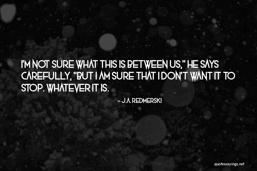 I Want To Stop Quotes By J.A. Redmerski