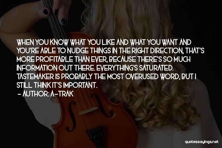 I Want You More Than Ever Quotes By A-Trak