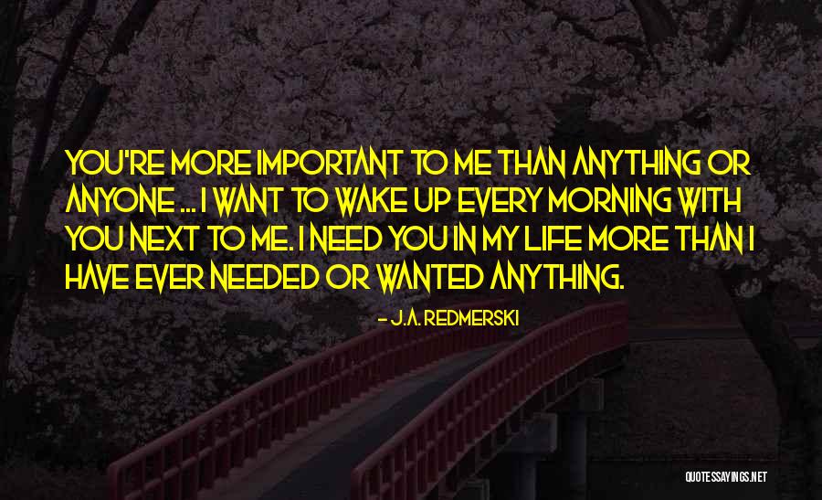 I Want You More Than Ever Quotes By J.A. Redmerski