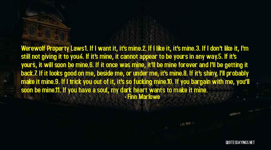 I Want You To Be With Me Forever Quotes By Finn Marlowe