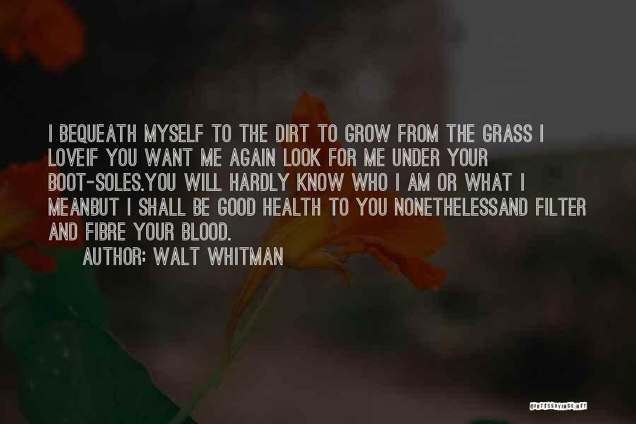 I Want You To Love Me Again Quotes By Walt Whitman