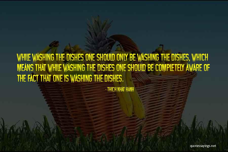 I Want You To Want To Do The Dishes Quotes By Thich Nhat Hanh I Want You To Want To Do The Dishes Quotes By Thich Nhat Hanh
