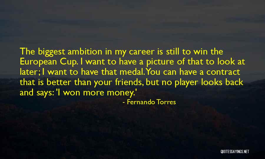 I Want Your Money Quotes By Fernando Torres