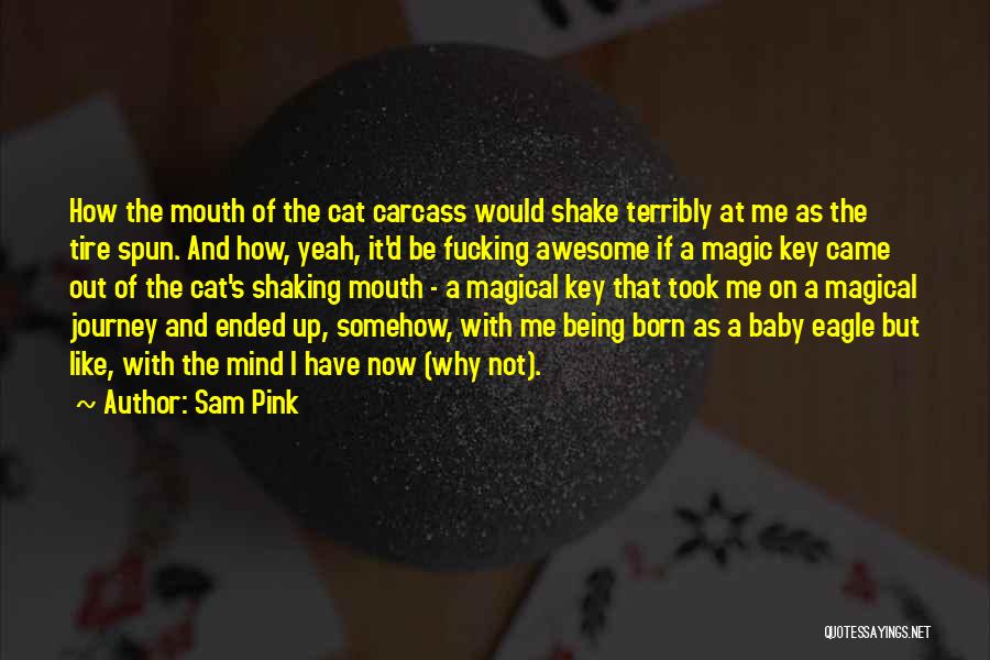 I Was Born Awesome Quotes By Sam Pink