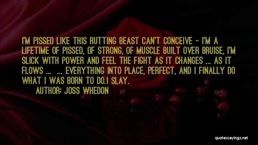 I Was Born To Fight Quotes By Joss Whedon