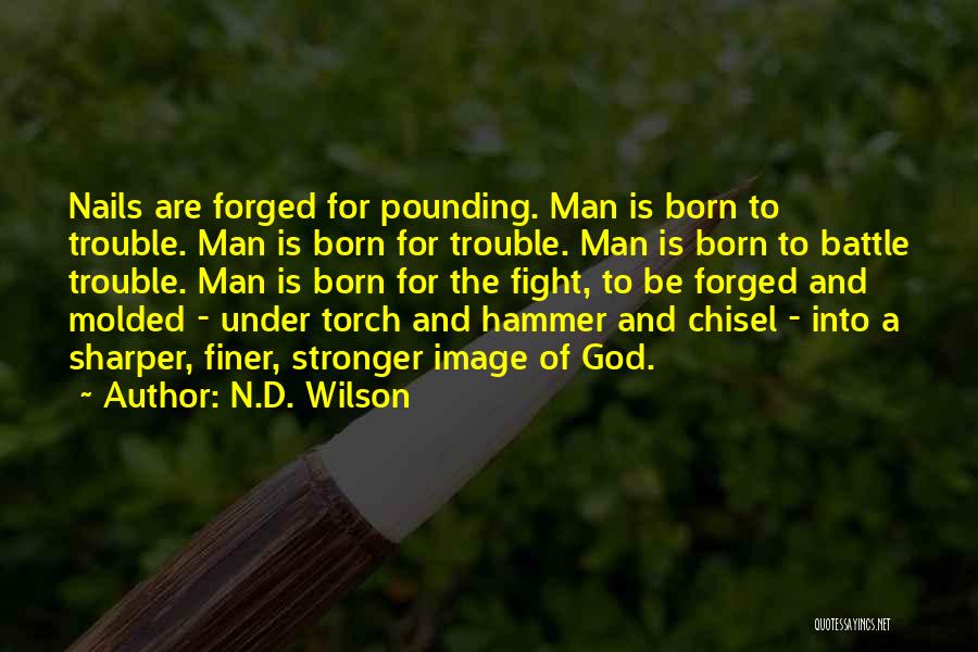 I Was Born To Fight Quotes By N.D. Wilson