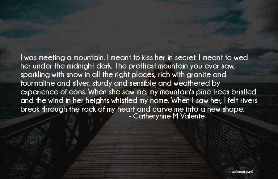 I Was Meant To Love You Quotes By Catherynne M Valente I Was Meant To Love You Quotes By Catherynne M Valente